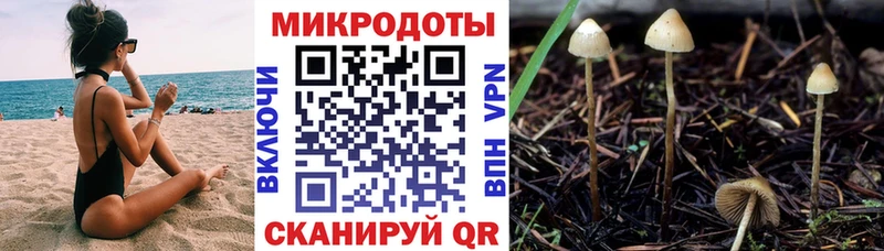 Купить закладки  Долинск  Галлюциногенные грибы MAGIC MUSHROOMS 